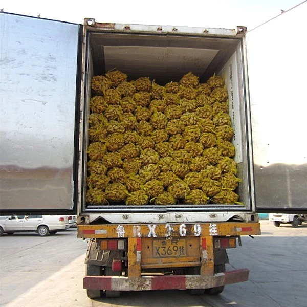 Air Dried Ginger factory