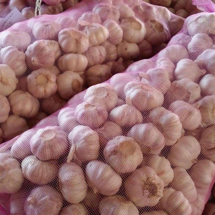 20kg Mesh Bag Garlic Loose Pacakge suppliers