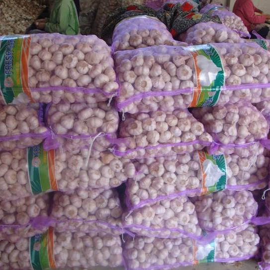 bulk garlic 4.5cm